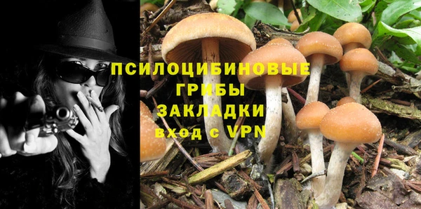 мдпв Вяземский