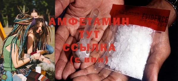 мдпв Вяземский