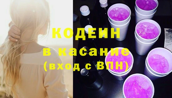 мдпв Вяземский