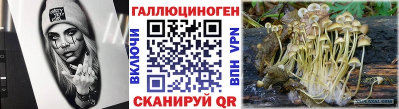 Псилоцибиновые грибы прущие грибы  цены   Дигора 