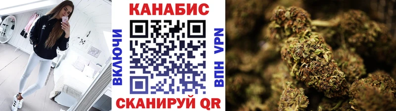 МАРИХУАНА сатива  Дигора 
